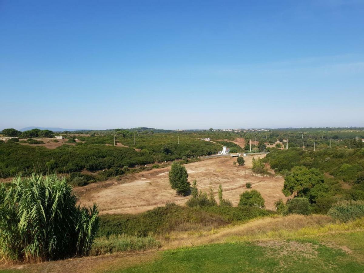 Quinta Helena Bed & Breakfast Almoster Bagian luar foto